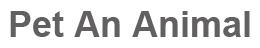 Pet an Animal